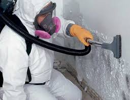 Best Industrial Mold Remediation  in North Hobbs, NM